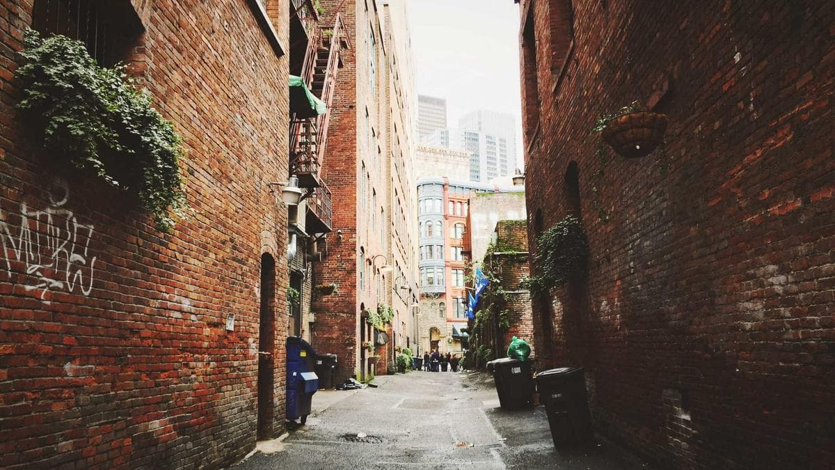 Launch your fitness storefront in a weekend